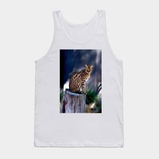 Serval Posing Tank Top